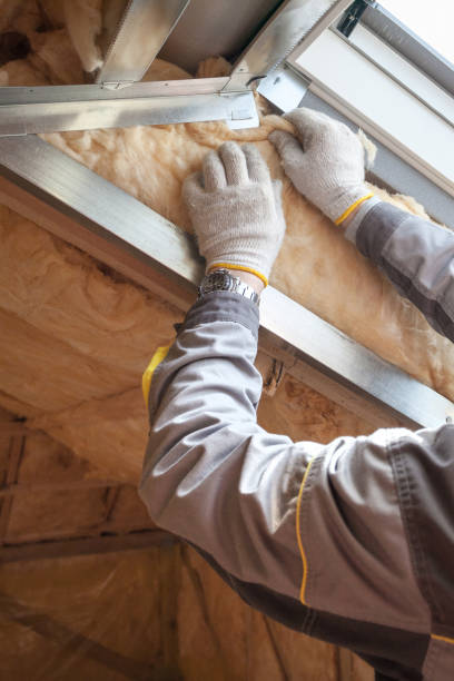 Types of Insulation We Offer in Dalzell, SC