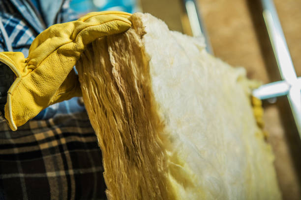 Best Insulation Maintenance and Repair in Dalzell, SC