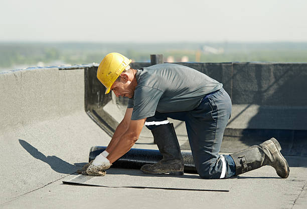 Best Eco-Friendly Insulation in Dalzell, SC
