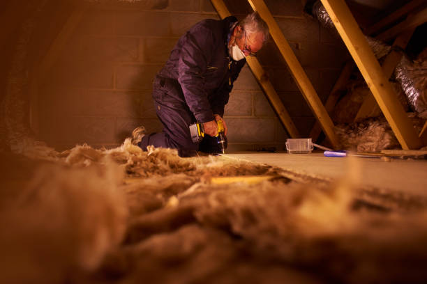 Best Specialized Insulation Services in Dalzell, SC