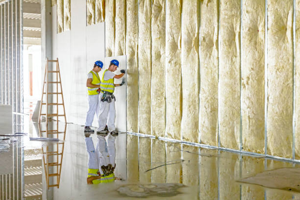 Best Insulation for Specific Applications in Dalzell, SC